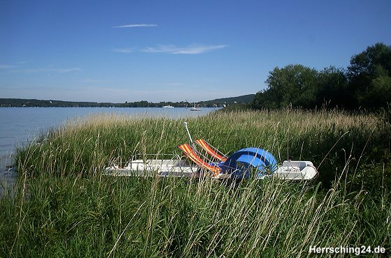 Tretboot im Schilf